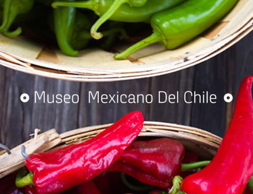 #5 «¿Hay un museo del chile en México?» – Con Grecia Mejía, Fundadora del MUMECHI